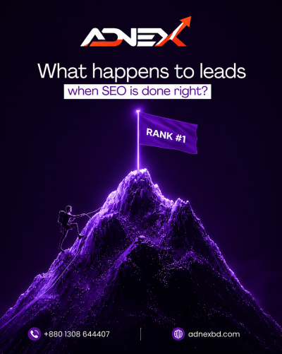adnex seo & digital marketing agecy